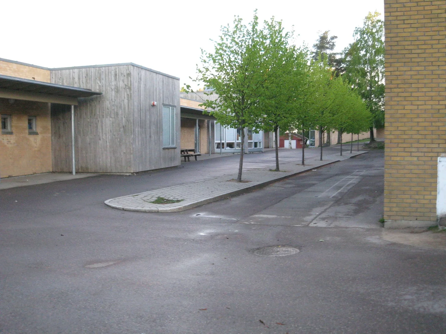 Skolegård med trær mellom teglsteinsbyggene på Ringshaug barneskole, fotografert i 2008